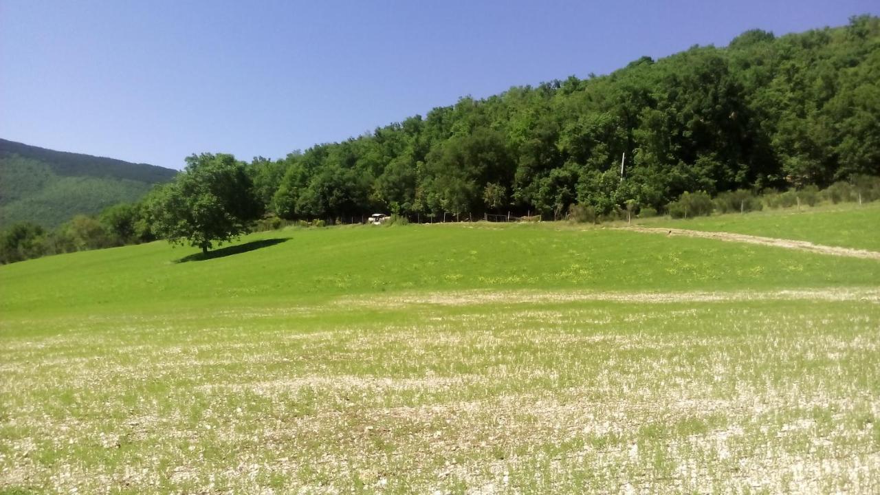 Agriturismo Il Casale Degli Amici Norcia Exterior foto