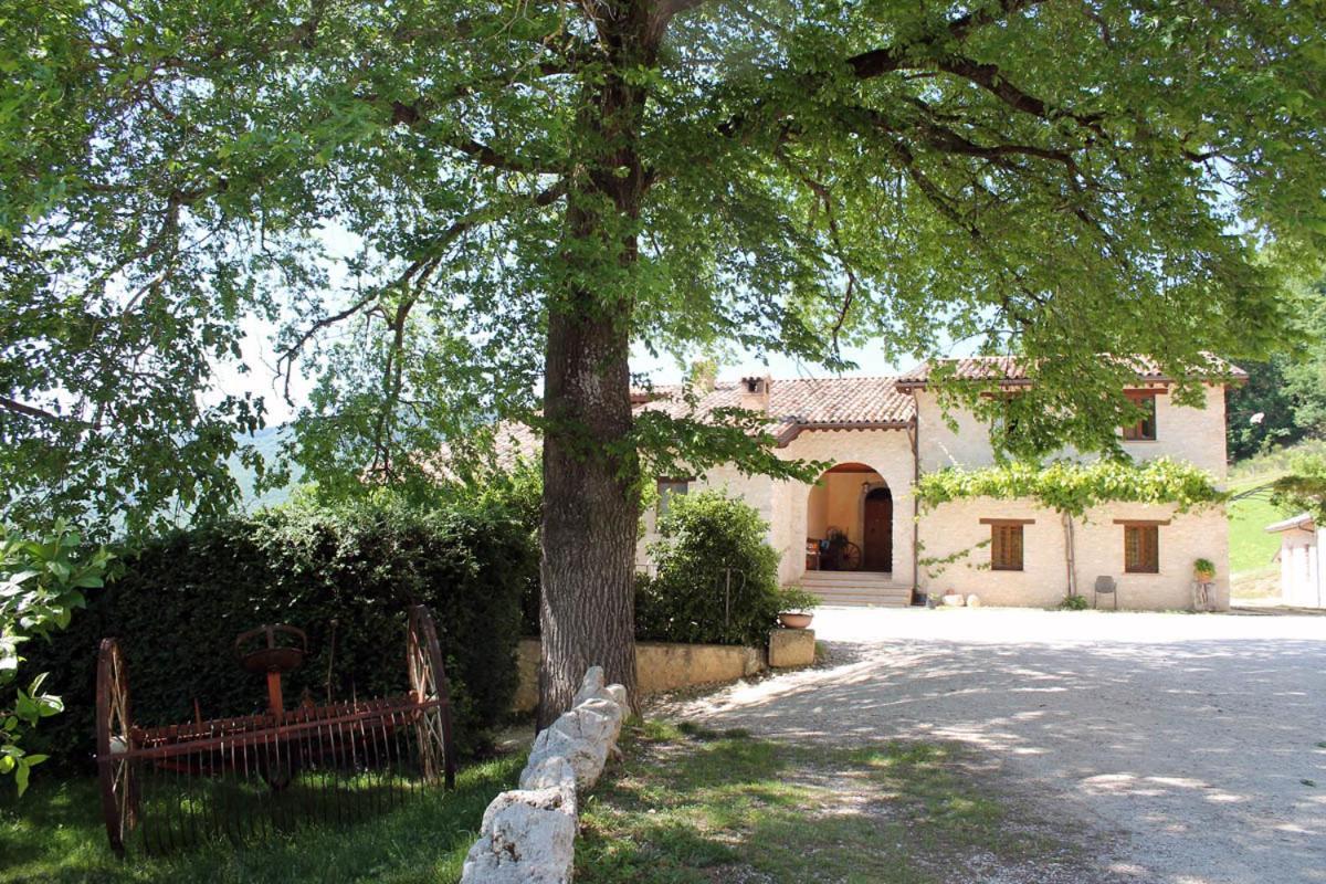 Agriturismo Il Casale Degli Amici Norcia Exterior foto